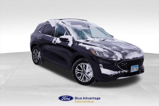 2022 Ford Escape SEL 2022 Ford Escape SEL