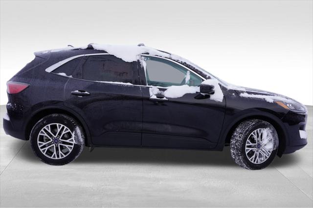 2022 Ford Escape SEL 2022 Ford Escape SEL