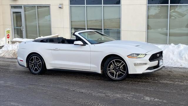 2023 Ford Mustang EcoBoost Convertible for sale in White Bear Lake, MN