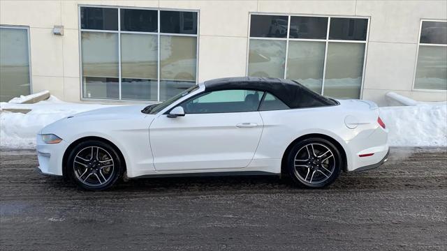 2023 Ford Mustang EcoBoost Convertible