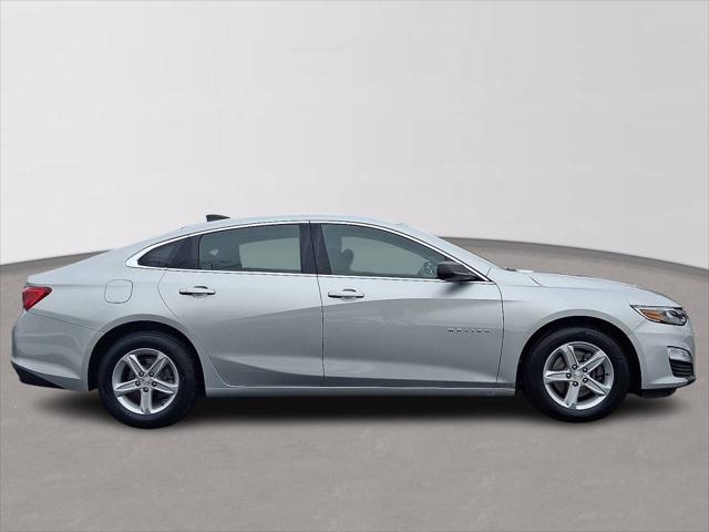 2019 Chevrolet Malibu 1FL