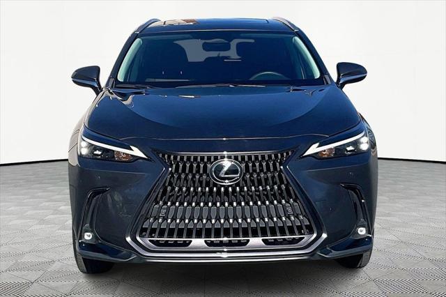 2022 Lexus NX 250 Premium