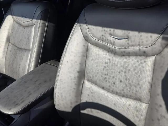 2025 Cadillac XT6 AWD Premium Luxury