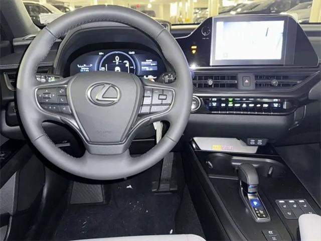 2025 Lexus 300 F SPORT Design