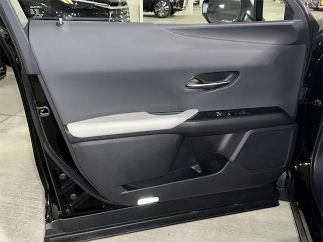 2025 Lexus 300 F SPORT Design