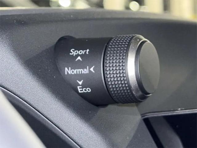 2025 Lexus 300 F SPORT Design