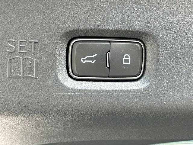 2025 Ford Expedition Active MAX