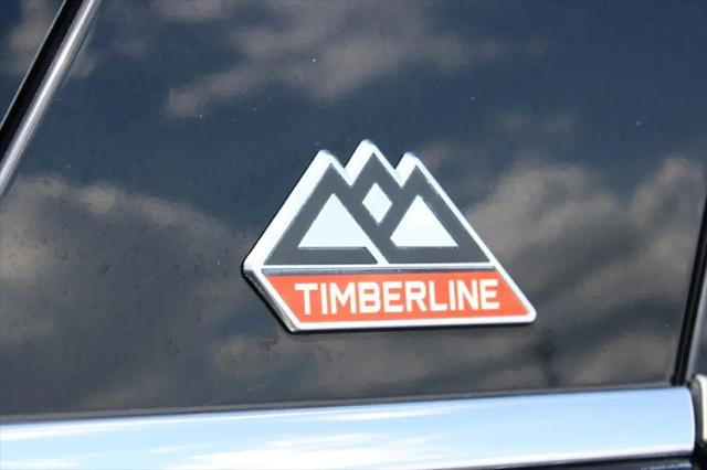2023 Ford Expedition Timberline