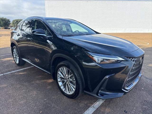 2025 Lexus NX 350's photo