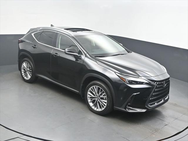 2025 Lexus NX 350's photo
