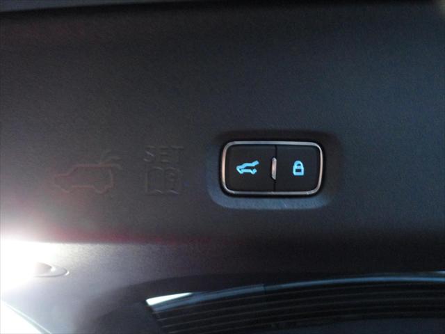 2026 Ford Expedition Max Active MAX