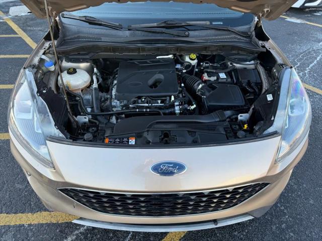 2020 Ford Escape SEL