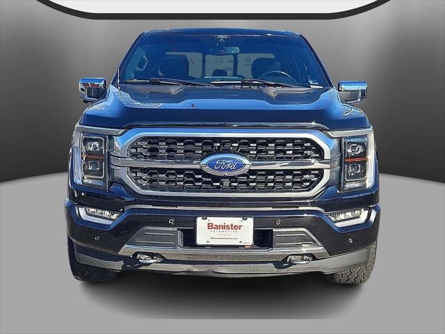 2021 Ford F-150 Platinum 2021 Ford F-150 Platinum