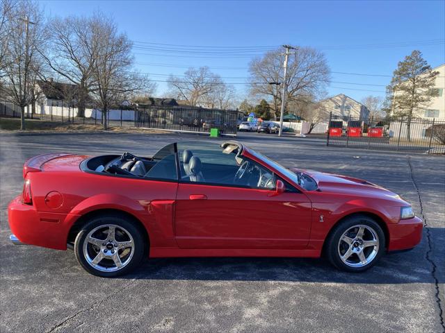 2004 Ford Mustang Cobra