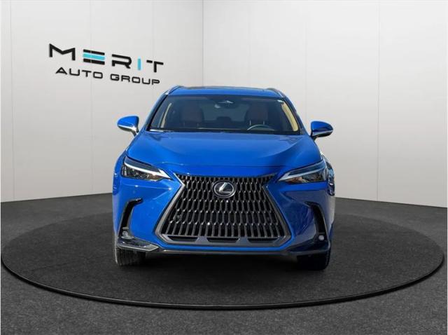 2025 Lexus NX Premium