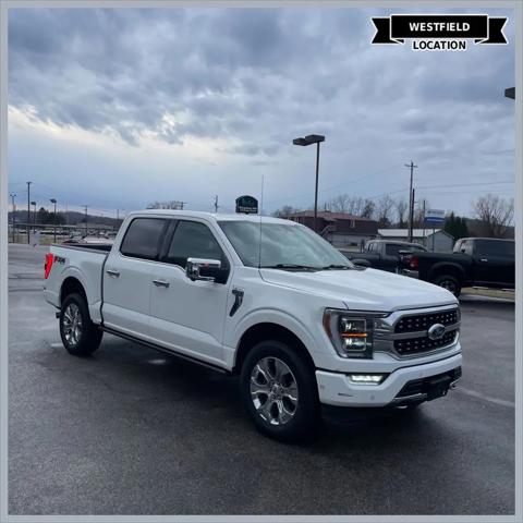 2021 Ford F-150 Platinum for sale in Westfield, IN