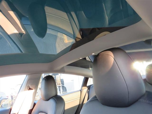 2022 Tesla Model 3 Rear-Wheel Drive
