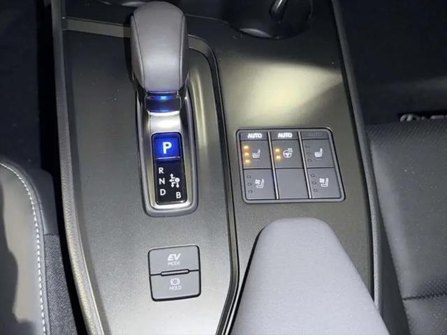 2025 Lexus 300 F SPORT Design