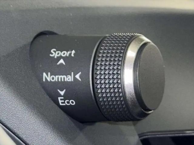2025 Lexus 300 F SPORT Design