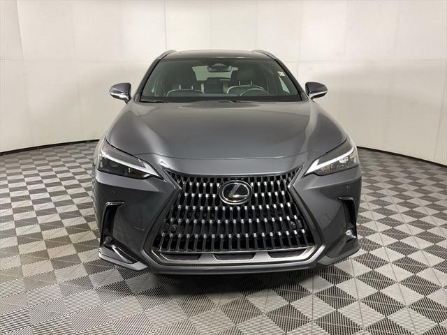 2024 Lexus NX 250 Premium