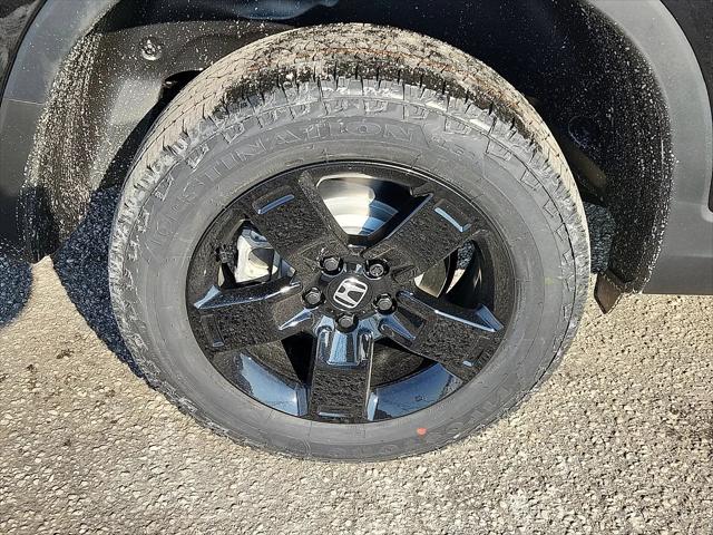 2026 Honda Ridgeline Black Edition