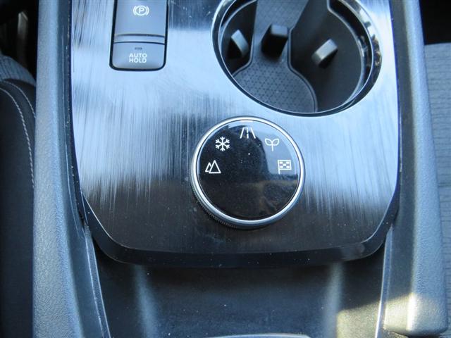 2021 Nissan Rogue SV Intelligent AWD