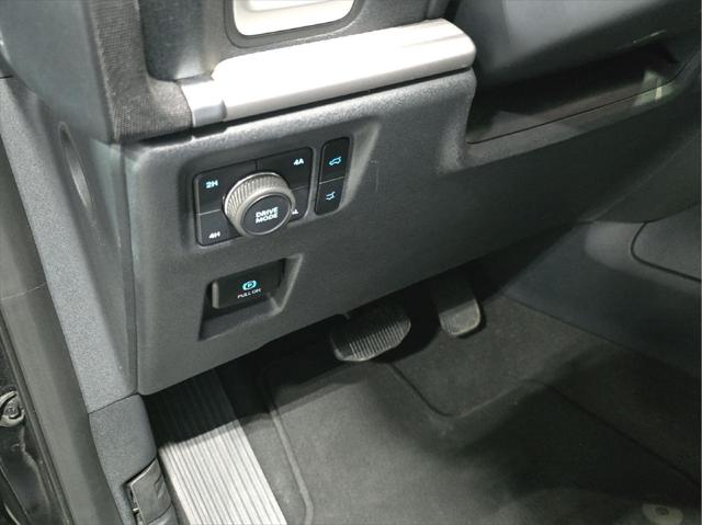 2025 Ford Expedition Active MAX