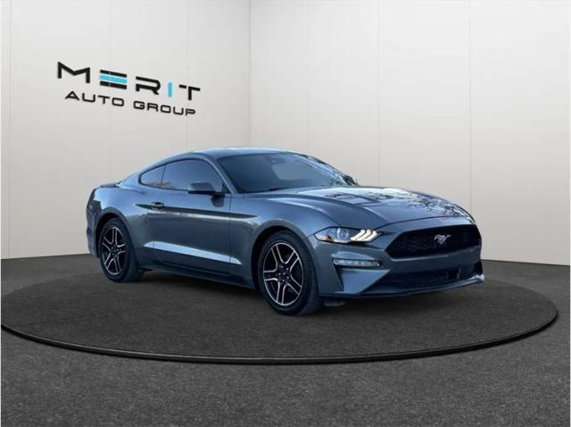 2022 Ford Mustang EcoBoost Premium Fastback for sale in Jacksonville, FL