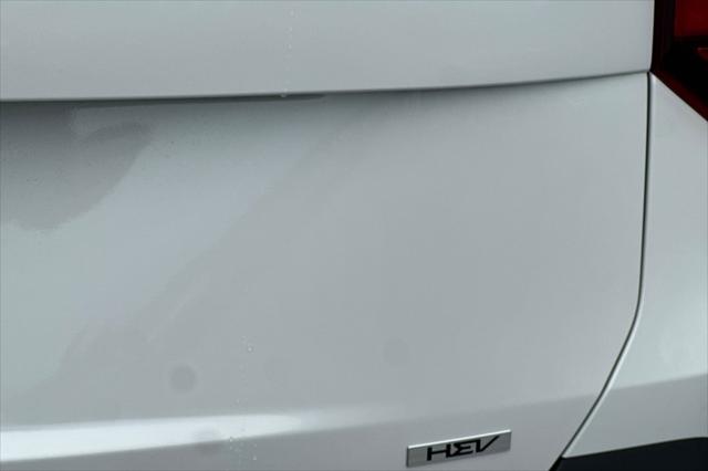 2026 Kia Carnival MPV LXS