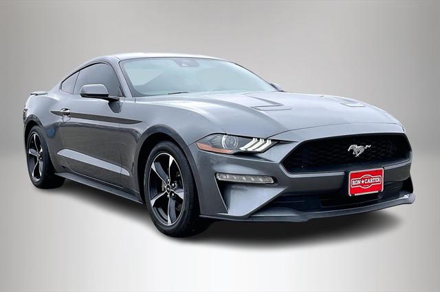2022 Ford Mustang EcoBoost Fastback 2022 Ford Mustang EcoBoost Fastback