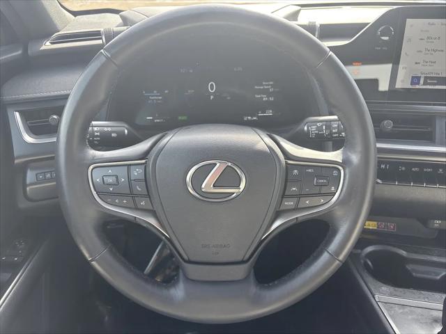 2025 Lexus 300 Premium
