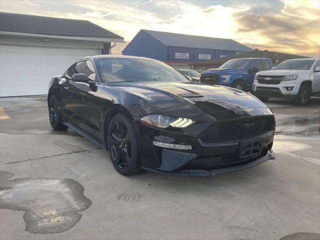 2023 Ford Mustang EcoBoost Fastback for sale in Princeton, TX