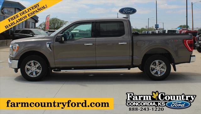 2023 Ford F-150 XLT