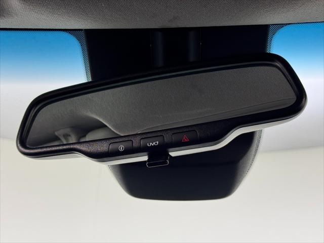 2021 Kia Niro EV EX Premium