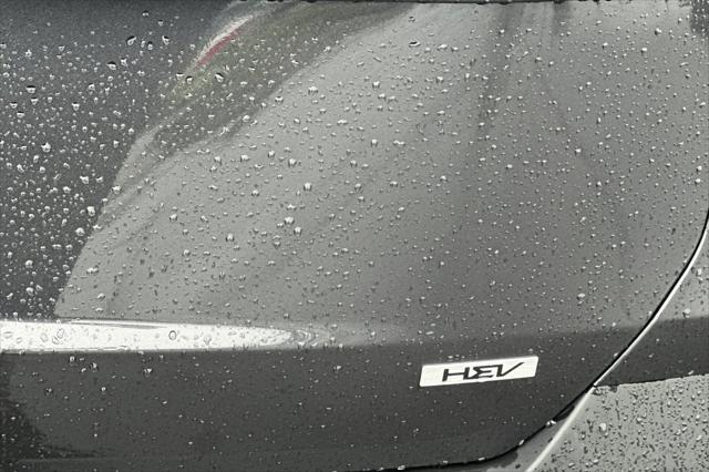 2026 Kia Carnival MPV LXS