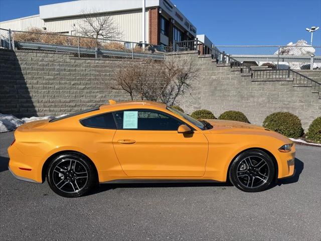2022 Ford Mustang EcoBoost Fastback 2022 Ford Mustang EcoBoost Fastback