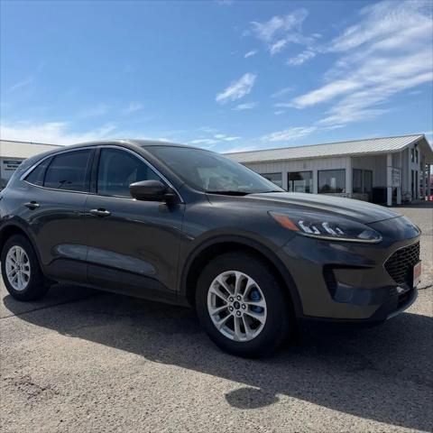 2020 Ford Escape SE for sale in Grand Rapids, MN