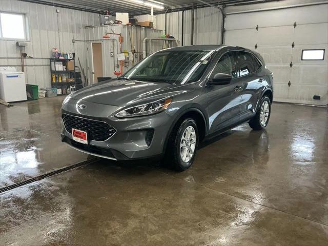 2022 Ford Escape SE for sale in Grand Rapids, MN