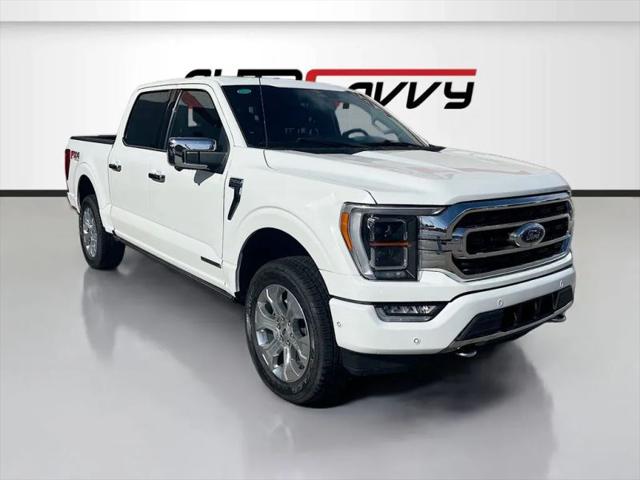 2023 Ford F-150 Platinum for sale in Windsor, CO