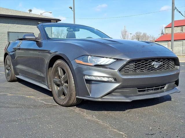 2019 Ford Mustang EcoBoost for sale near Springfield, OH