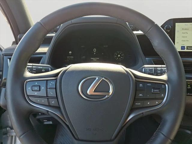 2025 Lexus 300 Premium