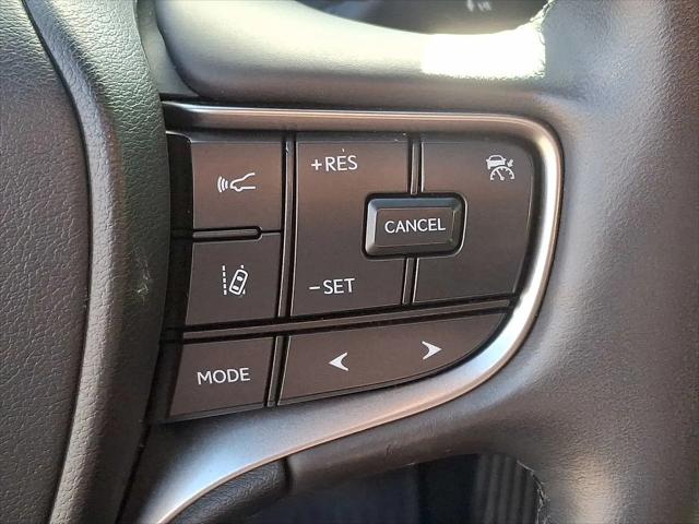 2024 Lexus UX 250h Premium