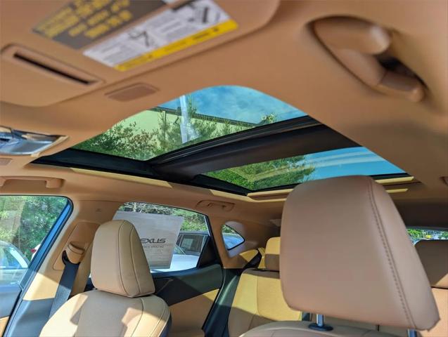 2026 Lexus NX Luxury