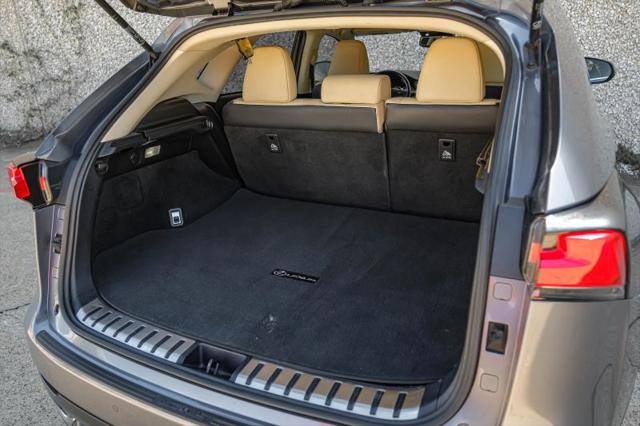 2019 Lexus NX 300h 300h