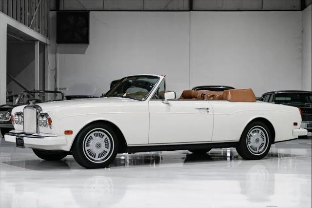 1989 Bentley Continental Convertible for sale in St. Louis, MO