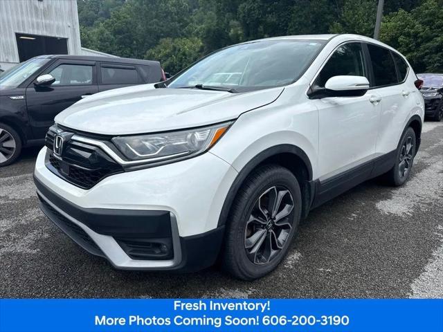 2020 Honda CR-V AWD EX-L for sale in Ivel, KY