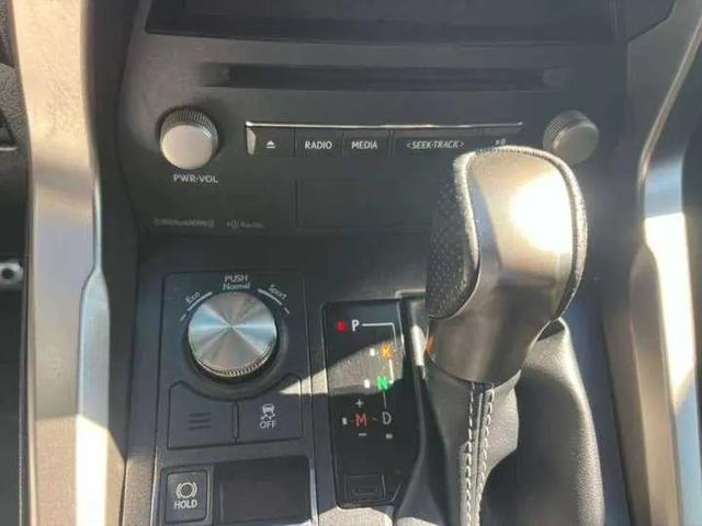 2019 Lexus NX 300 F SPORT