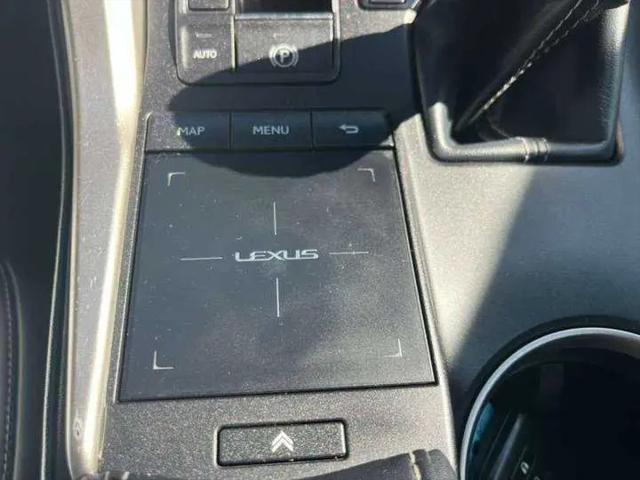 2019 Lexus NX 300 F SPORT