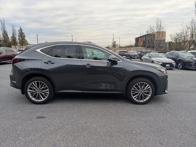 2025 Lexus NX 350 Luxury
