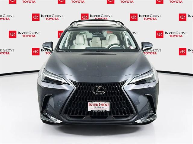2025 Lexus NX Luxury